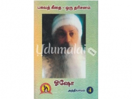 பகவத் கீதை ஒரு தரிசனம் (பாகம்-4)