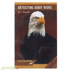 Detecting Audit Risks