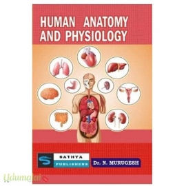 Human Anatomy And Physiology 