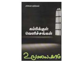 கம்பிக்குள் வெளிச்சங்கள்
