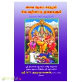 சைவ ஆகம சாரமும் சிவ வழிபாட்டு முறைகளும்