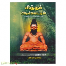 சித்தர் அடிச்சுவட்டில்