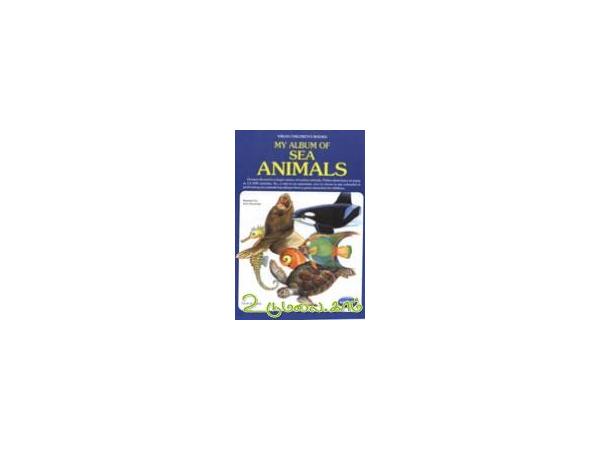 my-album-of-sea-animals-03654.jpg