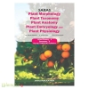 Allied Botany – 2 (TANSCHE Syllabus)