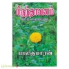 பிருந்தாவனம் (பாலகுமாரன் - திருமகள்)