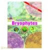 Bryophytes