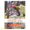 Fungi Bacteria Viruses Plant Pathology and Lichens (TANSCHE Syllabus)