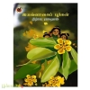 இயல்வாகைப் பூக்கள்