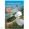 பள்ளத்தாக்கில் பூத்த பூ(காந்தலஷ்மி சந்திரமௌலி)