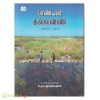பாண்டியர் கல்லணை