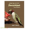 ரீங்காரசிட்டுக்கள்